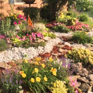 Meet your Posher, Cheryl